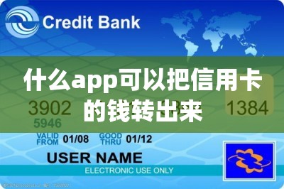 什么app可以把信用卡的钱转出来