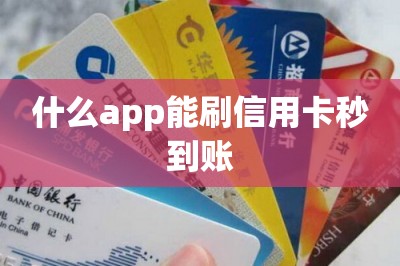 什么app能刷信用卡秒到账