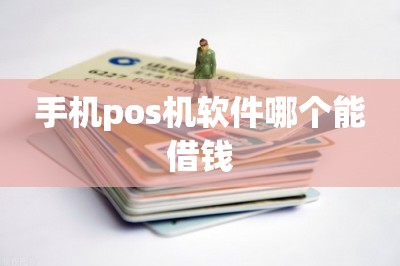 手机pos机软件哪个能借钱