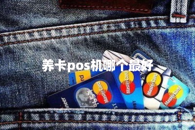 养卡pos机哪个最好