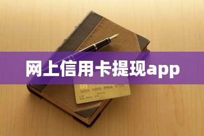 网上信用卡提现app