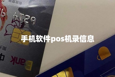 手机软件pos机录信息
