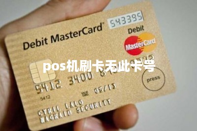 pos机刷卡无此卡号