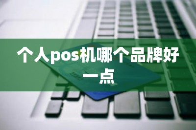 个人pos机哪个品牌好一点