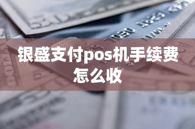 银盛支付pos机手续费怎么收