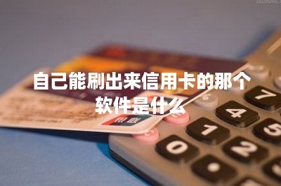 自己能刷出来信用卡的那个软件是什么